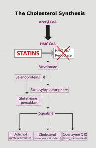 Mevalonate_Pathway