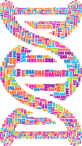 DNA strand