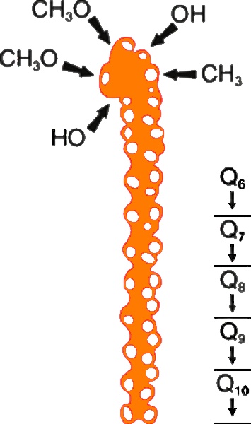 Q10_molecule