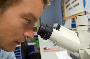 Doctor at the microscope Doctor at microscope