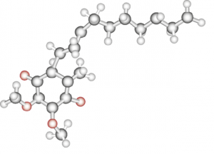 Q10 molecule