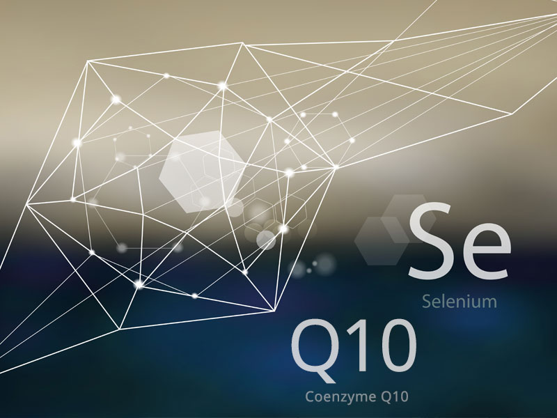 Abstract illustration of the trace mineral selenium as well as Coenzyme Q10 and how they work in unison against heart disease