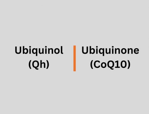 Ubiquinone? Ubiquinol? What does Dr. Judy say?