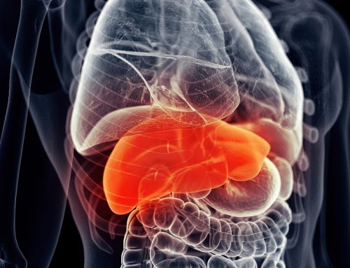 Coenzyme Q10 and liver cancer