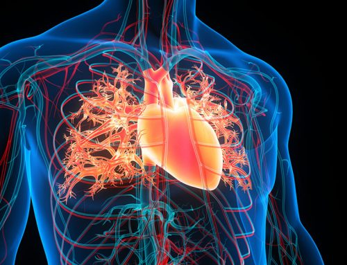 Coenzyme Q10 supplements and ejection fraction