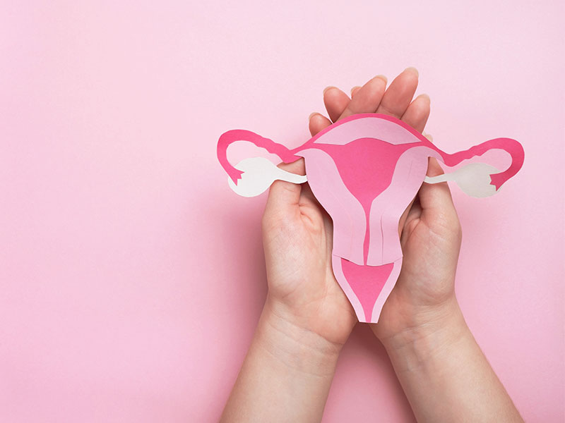 Pink colored paper cutout of the female reproductive system; the uterus and ovaries, held carefully in the hand of a woman, against a pink background.