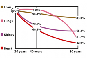 Graph of Q10 levels in various organs