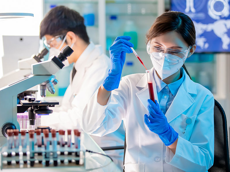 Blood samples being analyzed for Sirt1 levels by female laboratory worker