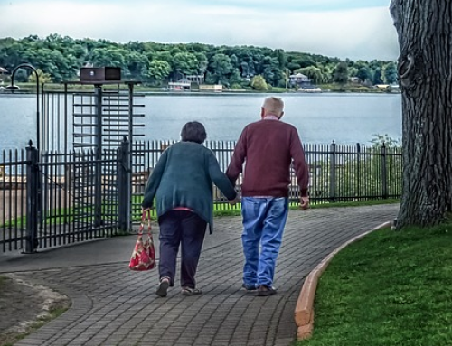 Coenzyme Q10 Delays Telomere Shortening