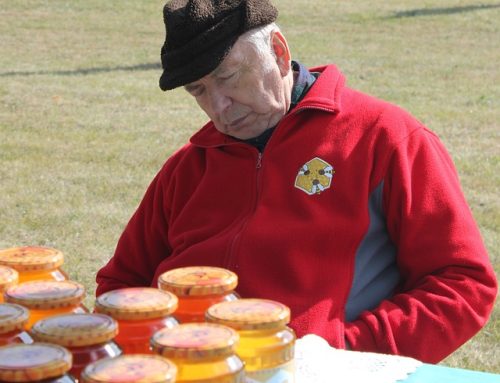 Coenzyme Q10 and Low Energy Syndrome Disorders