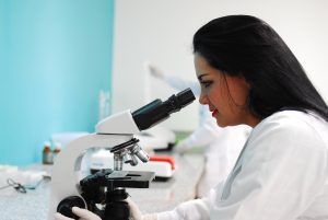 Looking at stem cells in the microscope