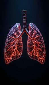 Lungs Lungs