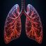 Lungs
